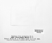 Puccinia buxi image